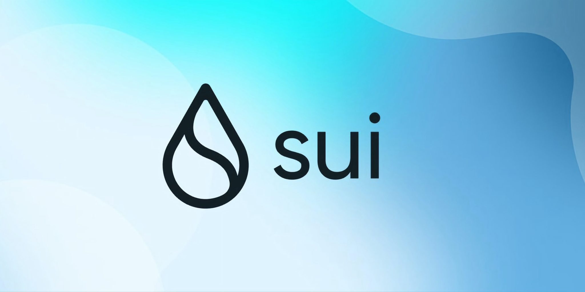 Sui Foundation