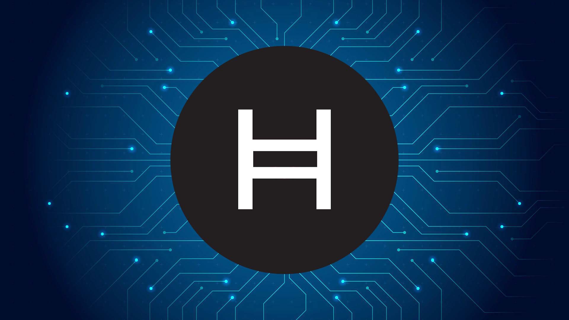 Hedera